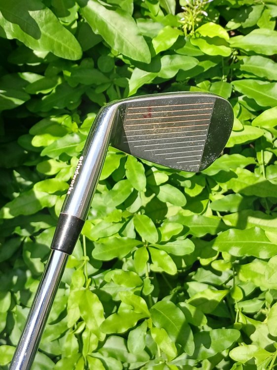 20260616_083019.jpg
